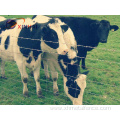 Galvanized Livestock Prevent Wire Farm Field Fence